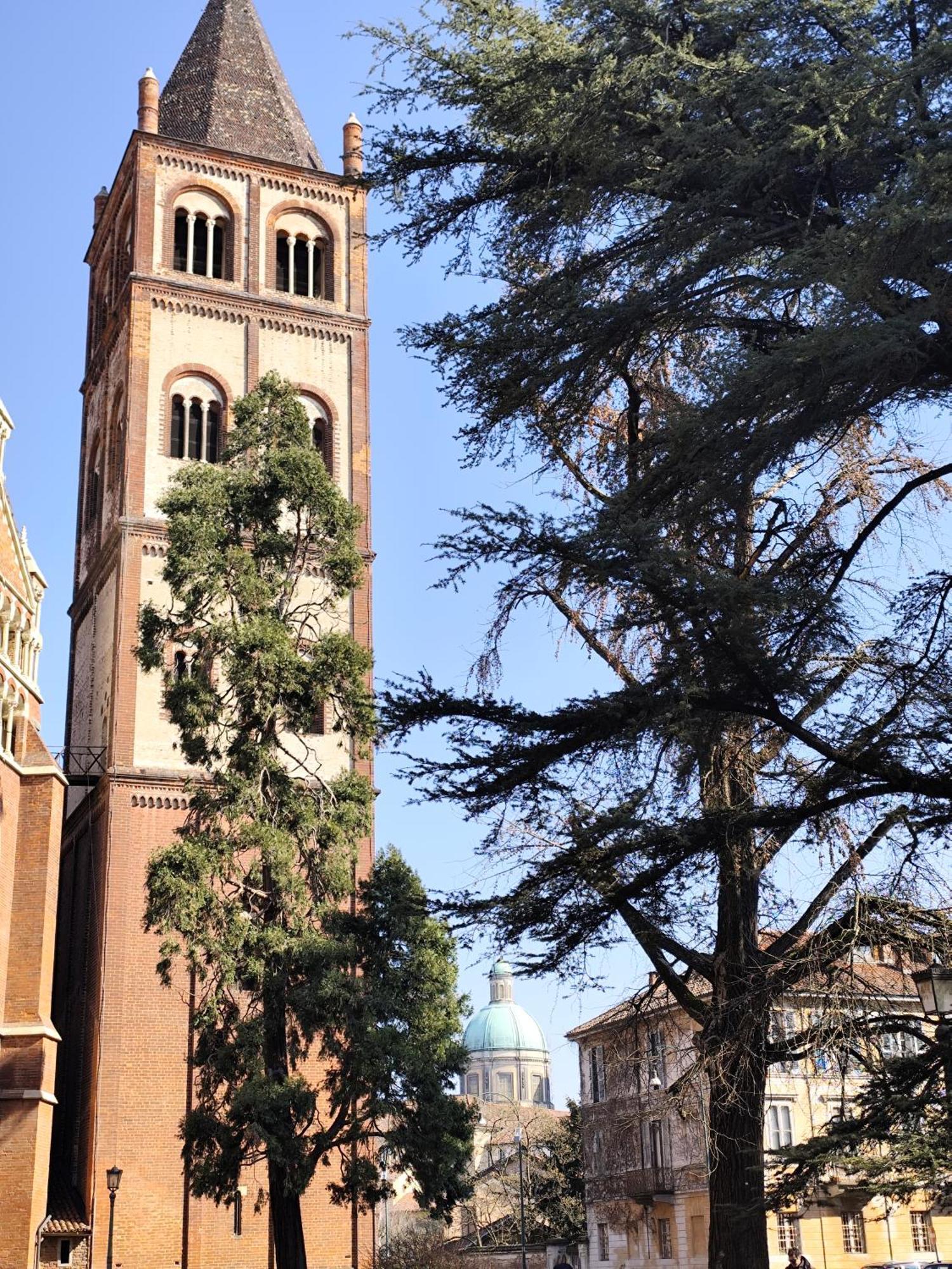 Loft Piazza Cavour Vercelli Exteriör bild